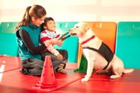 Trained dog for therapy