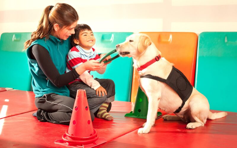 Trained dog for therapy