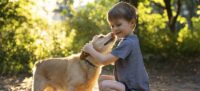 Beneficios-de-crecer-con-mascotas-min