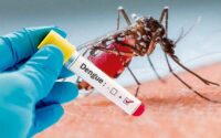 Dengue en Hidalgo_ qué es y cómo prevenirlo