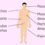 Síndrome de Klinefelter: una alteración genética en varones