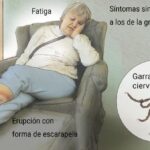 Enfermedad de Lyme: resumen informativo