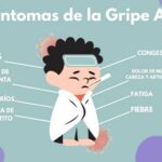 Gripe A: resumen completo