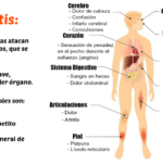Vasculitis: inflamación de los vasos sanguíneos y sus implicaciones