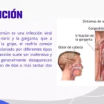 Resfriado común: revisión científica amplia