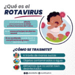 Rotavirus: infección viral gastrointestinal aguda de alta transmisibilidad