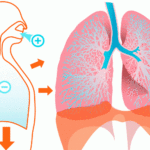 Hipersensibilidad respiratoria