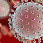 Zika: enfermedad viral, transmisión y situación en México