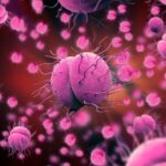 Gonorrea: qué es, síntomas, diagnóstico, tratamiento y prevención