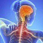 Esclerosis lateral amiotrófica (ELA): qué es, causas, síntomas, diagnóstico y tratamiento