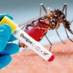 Dengue: una enfermedad viral que requiere atención y prevención