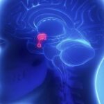 Hipopituitarismo: causas, síntomas, diagnóstico y tratamiento