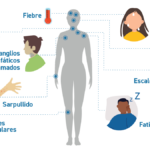 VIH/SIDA: causas, síntomas, diagnóstico, tratamiento y prevención de una infección que afecta al sistema inmunitario
