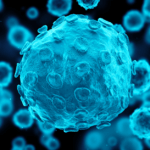 Herpes simple tipo 2: causas, síntomas, diagnóstico, tratamiento y prevención